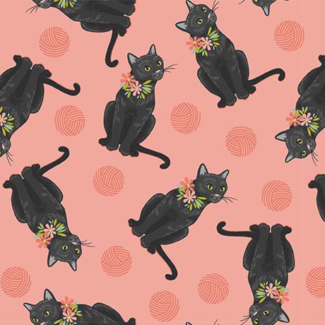 CURIOUS KITTYCATS        